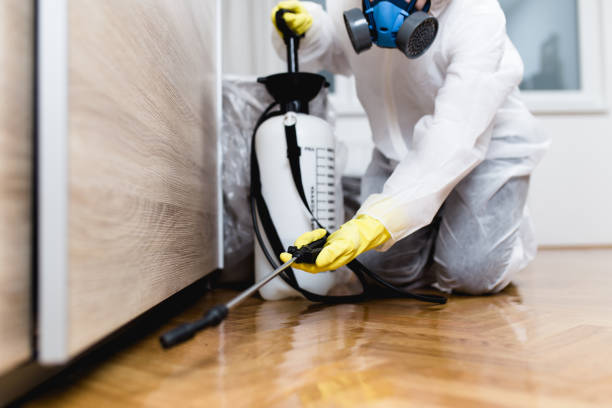Best Emergency Pest Control  in Yerington, NV
