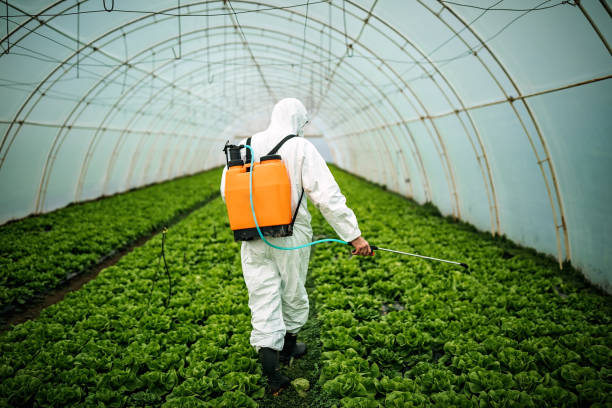 Best Local Pest Control Services  in Yerington, NV