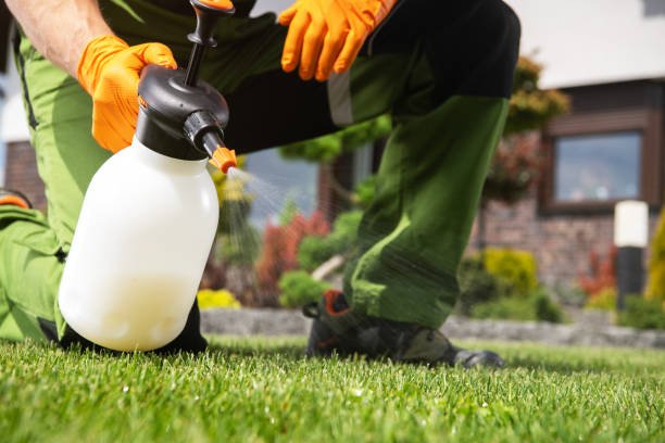 Professional Pest Control in Yerington, NV