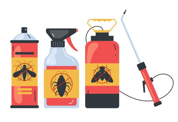 Best Termite Control Services  in Yerington, NV